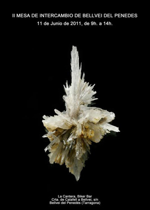 Federación Española de Mineralogía. Carteles antiguos de ferias y eventos