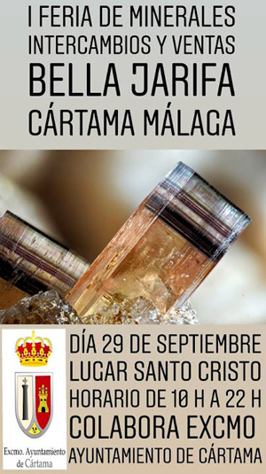 Federación Española de Mineralogía. Carteles antiguos de ferias y eventos