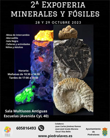 
               2ª EXPOFERIA de Minerales y Fósiles 