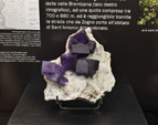 Bologna Mineral Show 2025