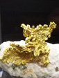 Bologna Mineral Show 2025