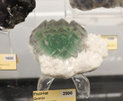 Bologna Mineral Show 2025