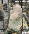 Bologna Mineral Show 2025