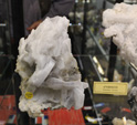 Bologna Mineral Show 2025