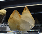 Bologna Mineral Show 2025