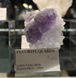Bologna Mineral Show 2025