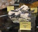 Bologna Mineral Show 2025