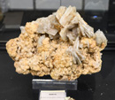 Bologna Mineral Show 2025