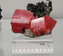 Bologna Mineral Show 2025