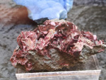 Bologna Mineral Show 2025