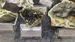 Bologna Mineral Show 2025