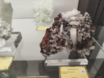 Bologna Mineral Show 2025