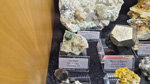 Bologna Mineral Show 2025
