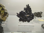 Bologna Mineral Show 2025