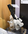 Bologna Mineral Show 2025