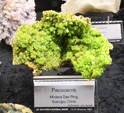 Bologna Mineral Show 2025