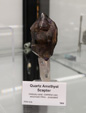 Bologna Mineral Show 2025