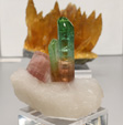 Bologna Mineral Show 2025