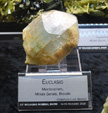 Bologna Mineral Show 2025