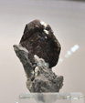 Bologna Mineral Show 2025