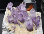 Bologna Mineral Show 2025