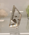 Bologna Mineral Show 2025