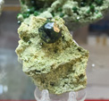 Bologna Mineral Show 2025