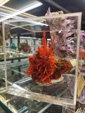 Bologna Mineral Show 2025