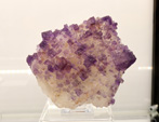 Bologna Mineral Show 2025