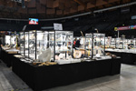 Bologna Mineral Show 2025