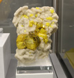 Bologna Mineral Show 2025