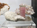 Bologna Mineral Show 2025