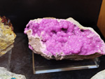 Bologna Mineral Show 2025
