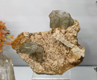 Bologna Mineral Show 2025