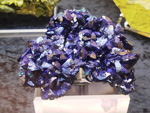 Bologna Mineral Show 2025