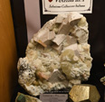 Bologna Mineral Show 2025