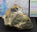 Bologna Mineral Show 2025