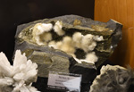 Bologna Mineral Show 2025