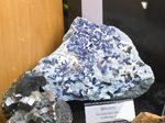 Bologna Mineral Show 2025
