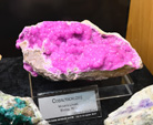 Bologna Mineral Show 2025