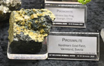 Bologna Mineral Show 2025
