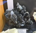 Bologna Mineral Show 2025