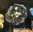 Bologna Mineral Show 2025