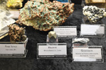 Bologna Mineral Show 2025