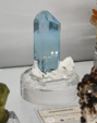 Bologna Mineral Show 2025