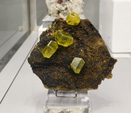 Bologna Mineral Show 2025