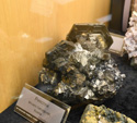 Bologna Mineral Show 2025