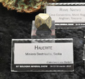 Bologna Mineral Show 2025