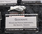 Bologna Mineral Show 2025