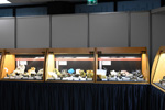 Bologna Mineral Show 2025